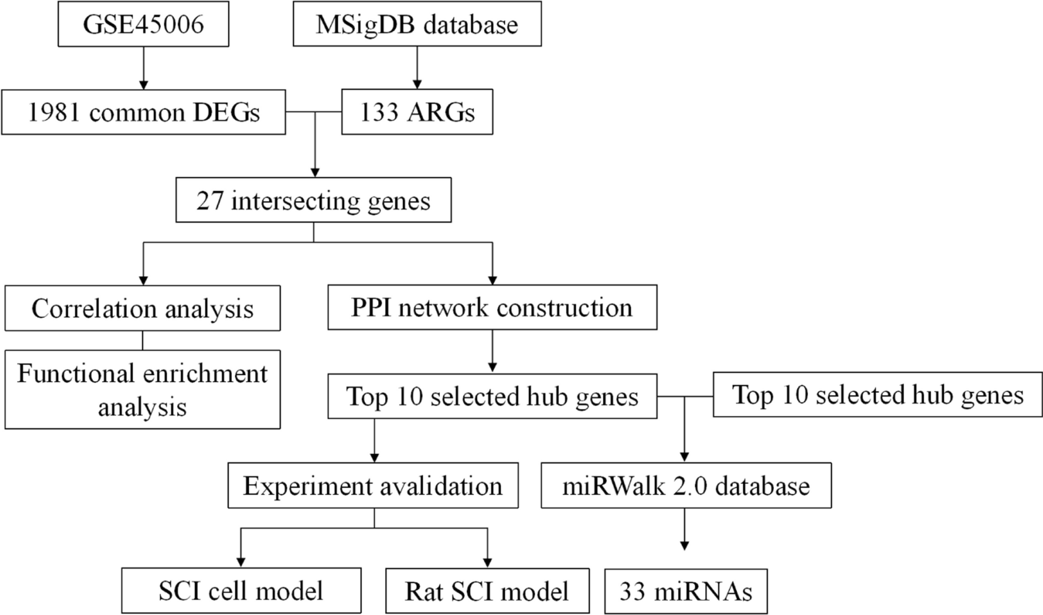 Identification of Anoikis-Related Genes in Spinal Cord Injury: Bioinformatics and Experimental Validation