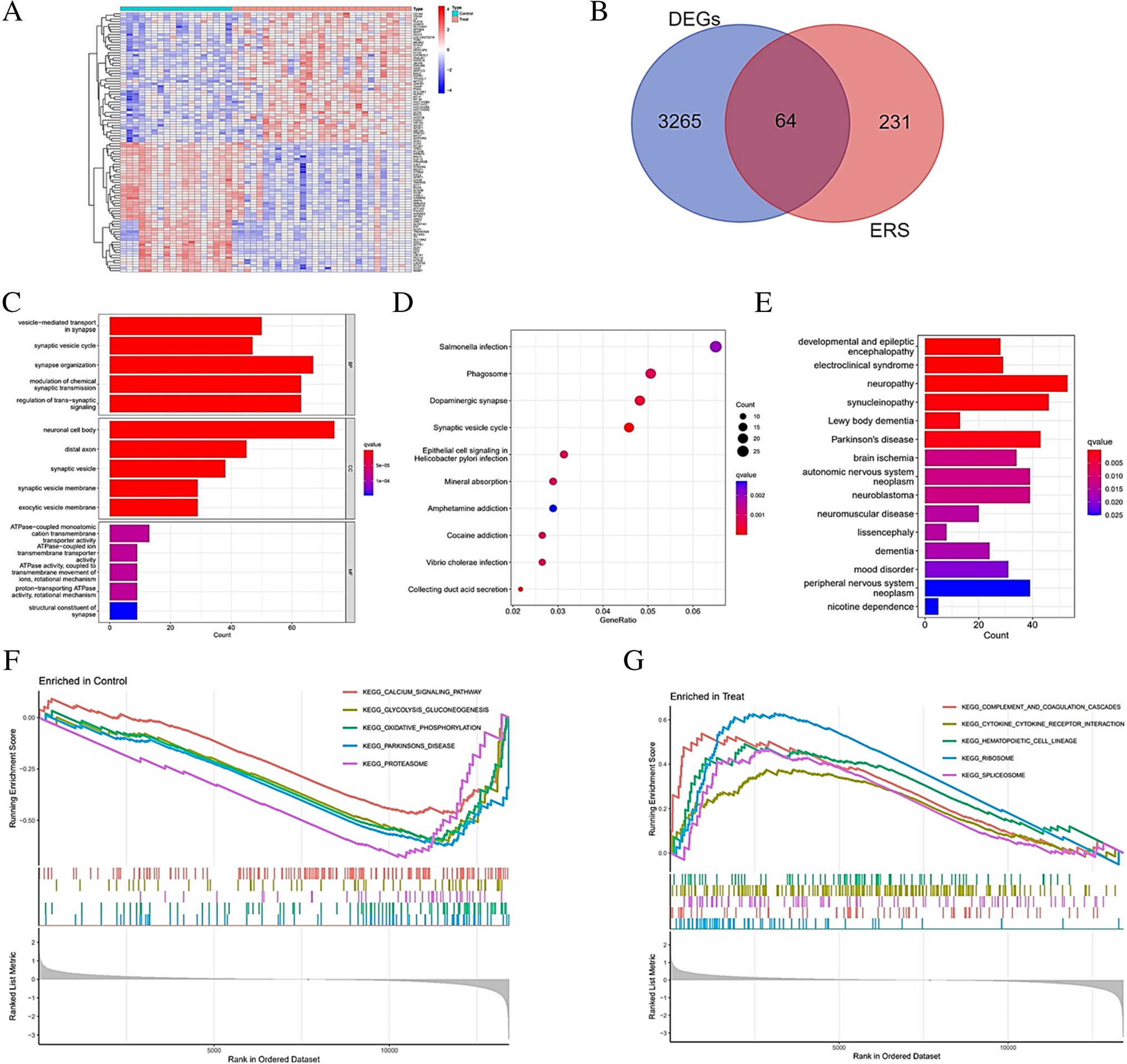 Utilizing Machine Learning to Identify Biomarkers of Endoplasmic Reticulum Stress and Analyze Immune Cell Infiltration in Parkinson’s Disease