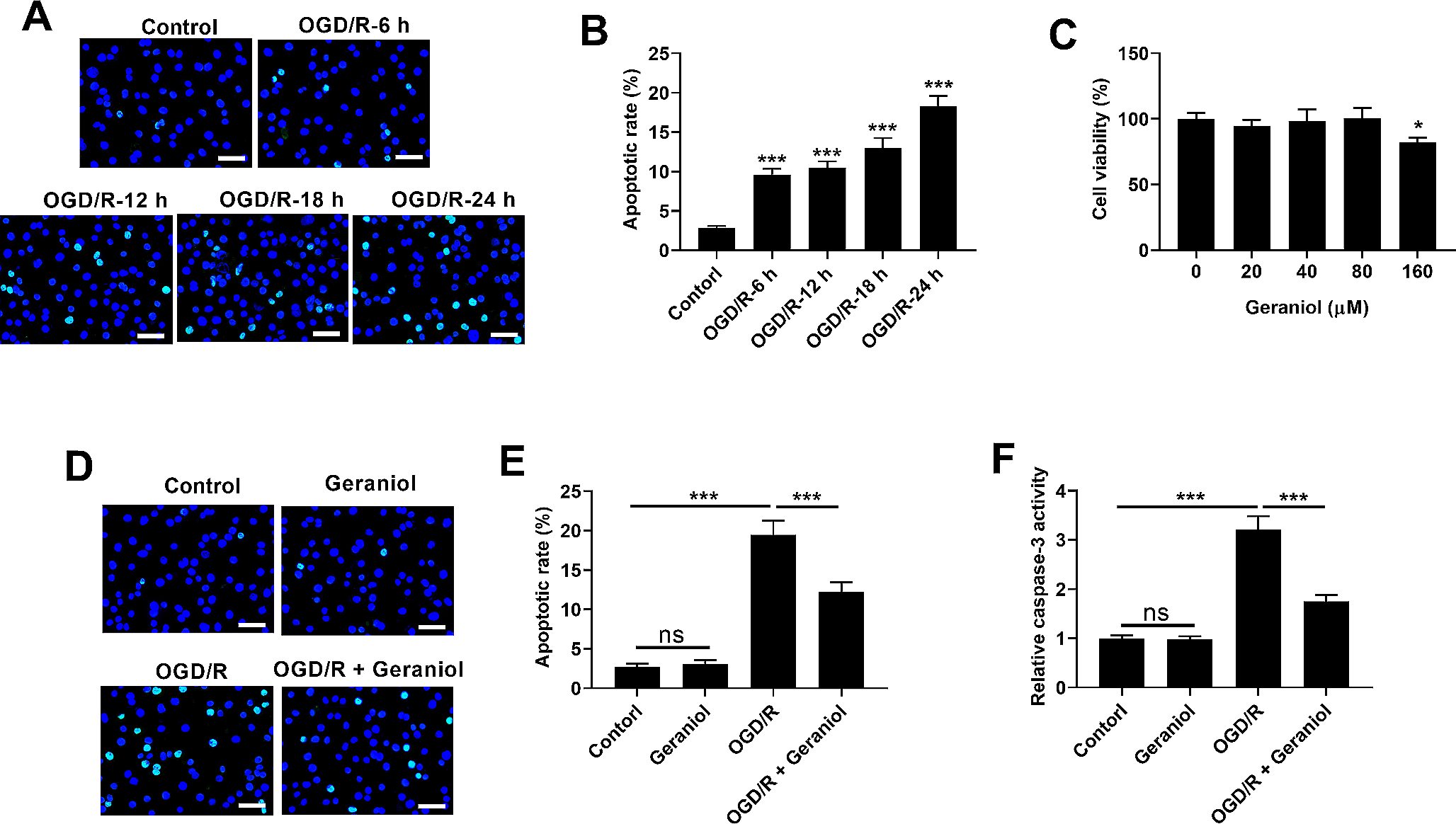 Geraniol attenuates oxygen-glucose deprivation/reoxygenation-induced ROS-dependent apoptosis and permeability of human brain microvascular endothelial cells by activating the Nrf-2/HO-1 pathway