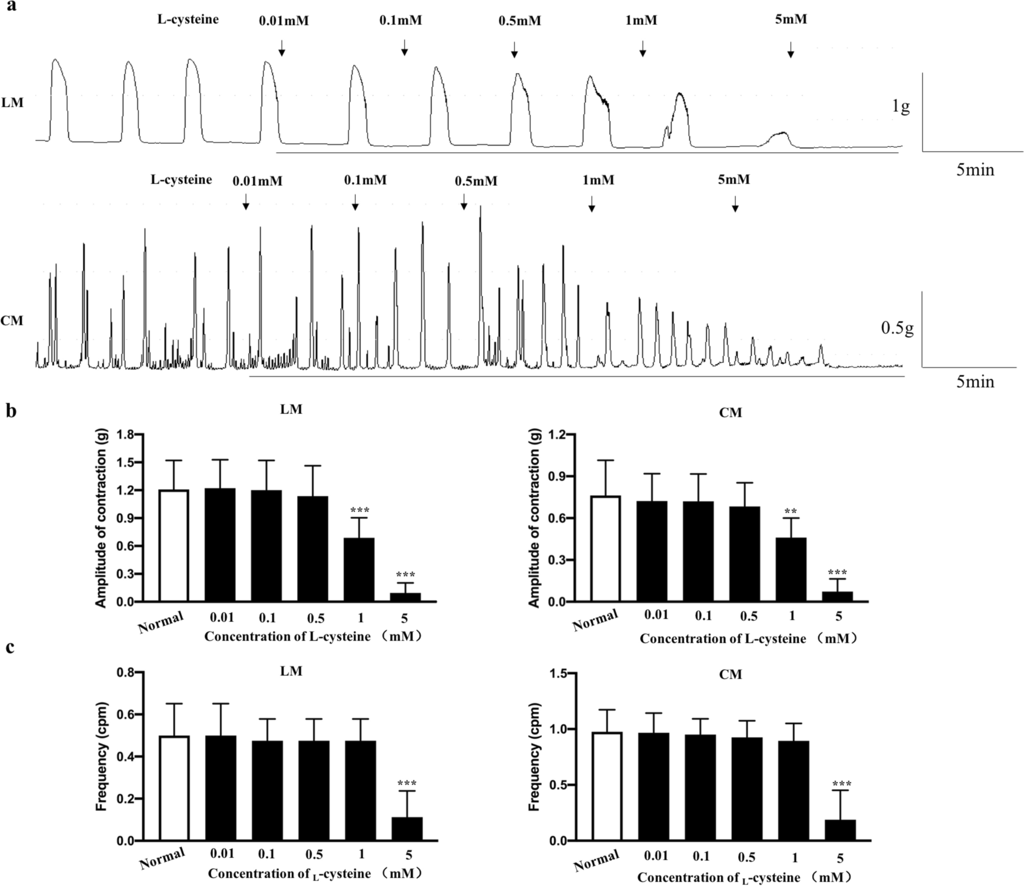 Nitric oxide and ion channels mediate l-cysteine-induced inhibition of colonic smooth muscle contraction