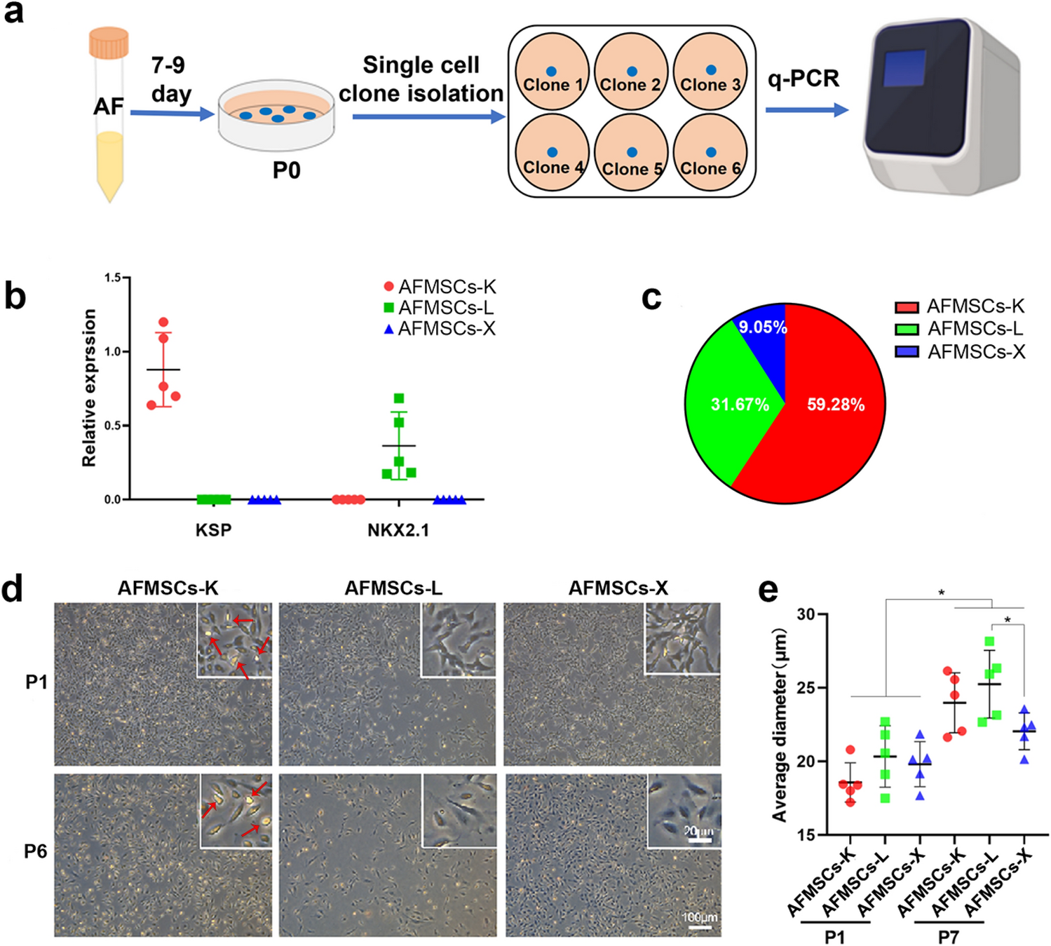 Tissue-specific populations from amniotic fluid-derived mesenchymal stem cells manifest variant in vitro and in vivo properties