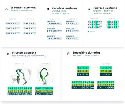 Benchmarking antibody clustering methods using sequence, structural, and machine learning similarity measures for antibody discovery applications