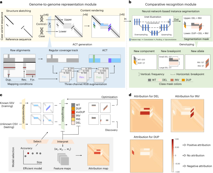 De novo and somatic structural variant discovery with SVision-pro