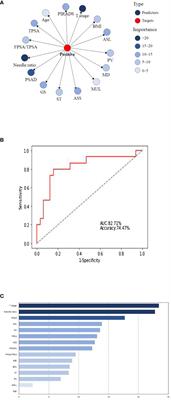 Predictive model of positive surgical margins after radical prostatectomy based on Bayesian network analysis