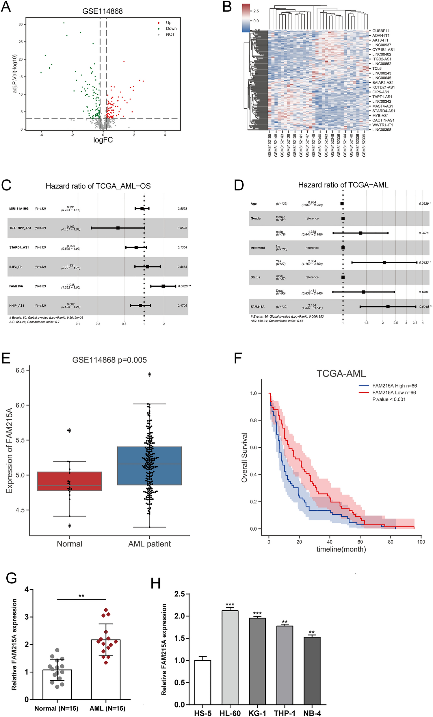 Oncogenic lncRNA FAM215A promotes the malignant cell phenotypes of acute myeloid leukemia (AML) cell lines