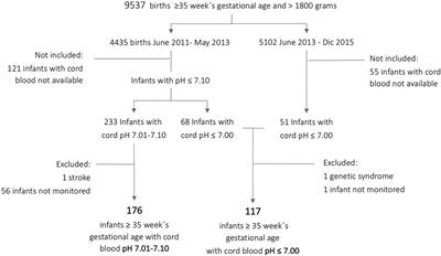 Incidence of encephalopathy and comorbidity in infants with perinatal asphyxia: a comparative prospective cohort study