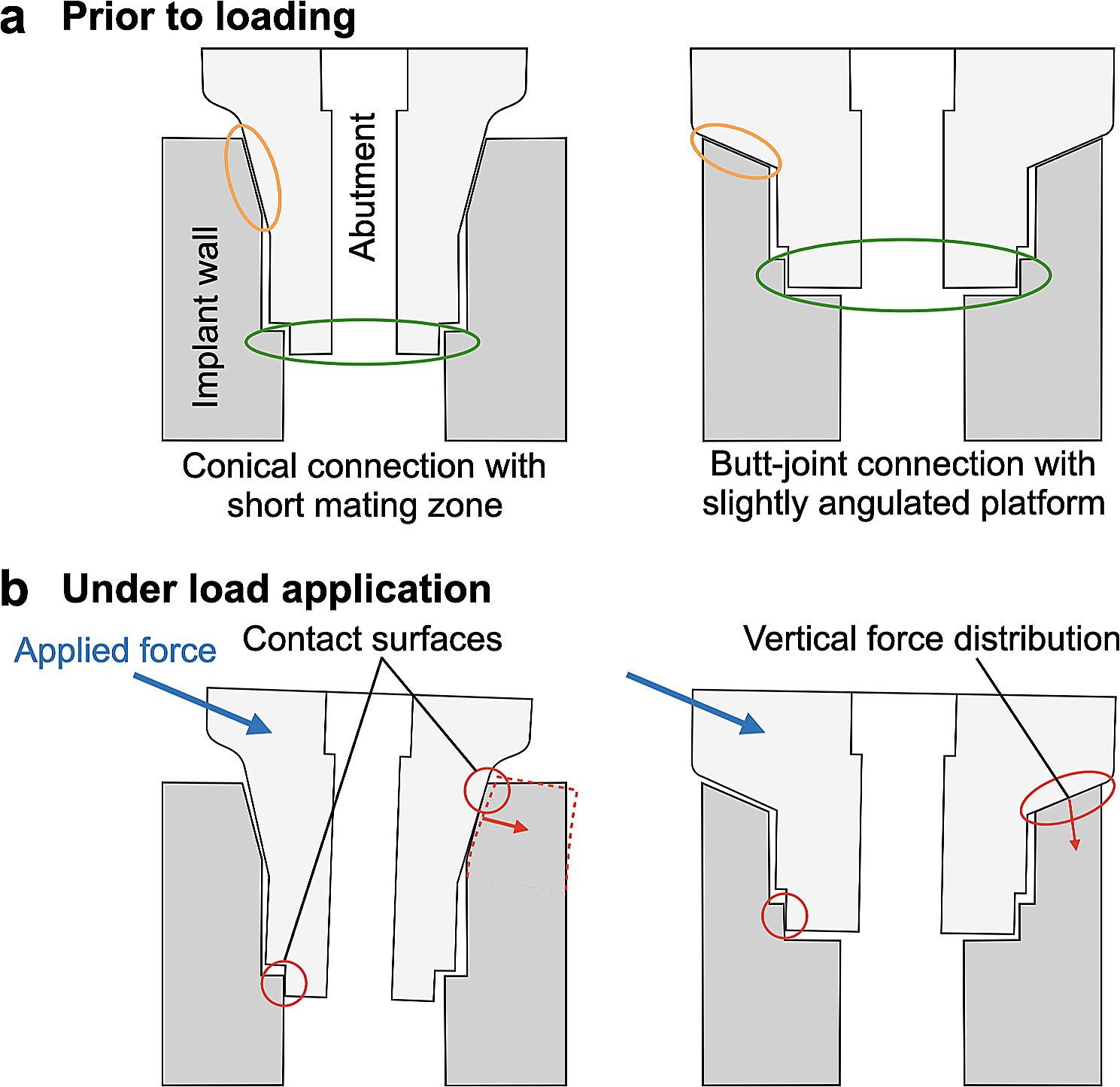 In vitro assessment of internal implant-abutment connections with different cone angles under static loading using synchrotron-based radiation