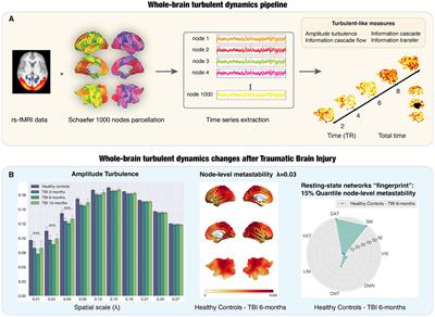 Turbulent dynamics and whole-brain modeling: toward new clinical applications for traumatic brain injury