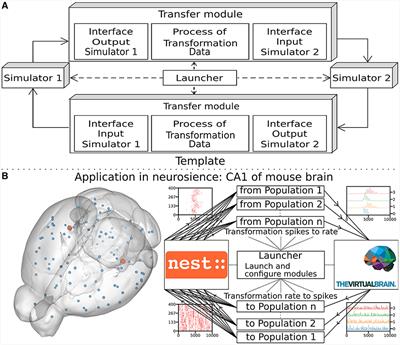 Multiscale co-simulation design pattern for neuroscience applications