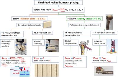 The application of a dual-lead locking screw could enhance the reduction and fixation stability of the proximal humerus fractures: a biomechanical evaluation