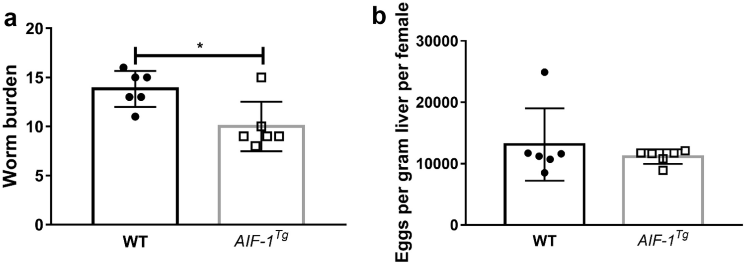 Type I/II Immune Balance Contributes to the Protective Effect of AIF-1 on Hepatic Immunopathology Induced by Schistosoma japonicum in a Transgenic Mouse Model