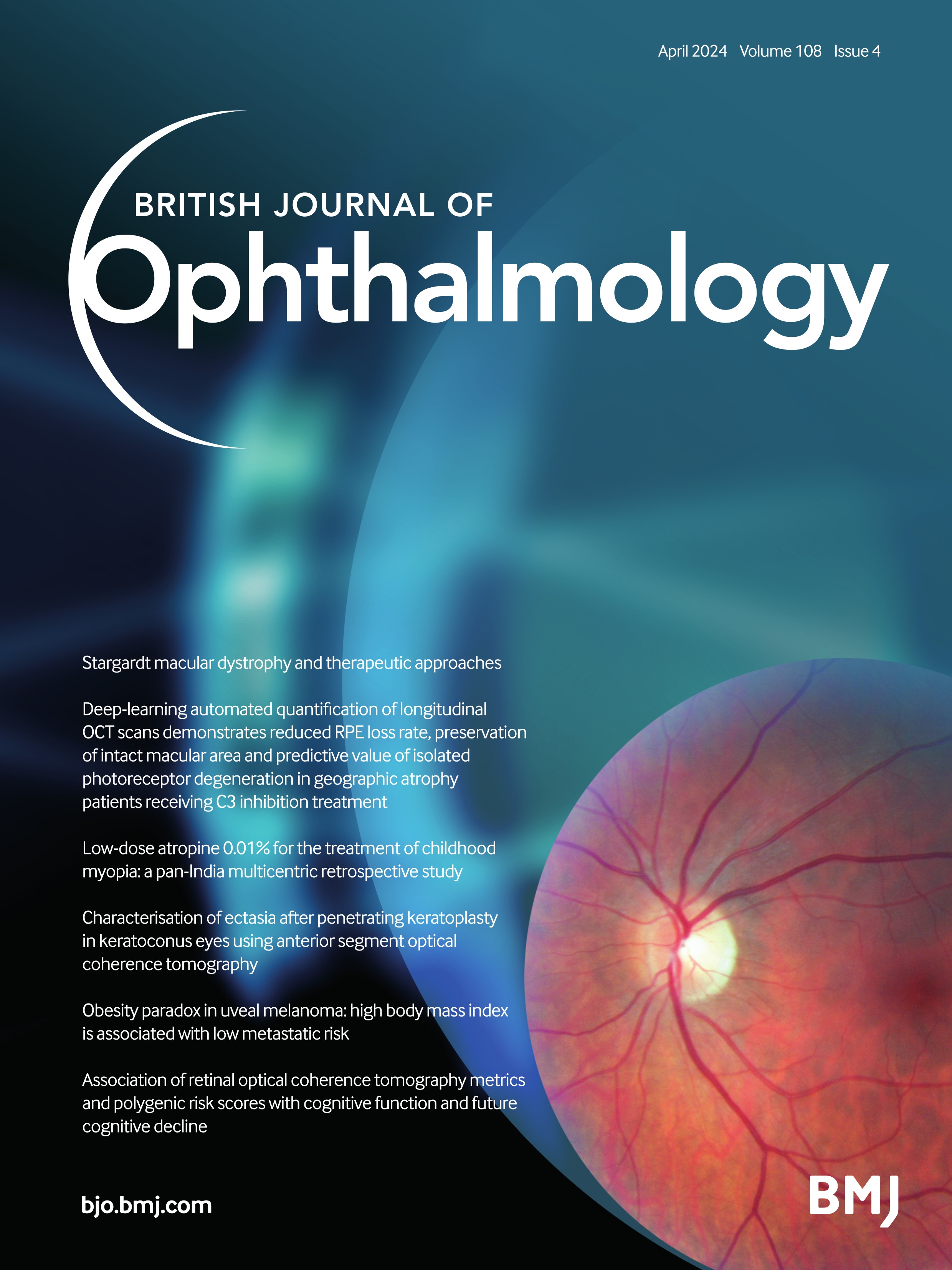 Papillary vitreous detachment as a possible accomplice in non-arteritic anterior ischaemic optic neuropathy