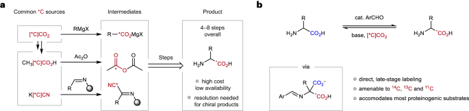A practical guide for the preparation of C1-labeled α-amino acids using aldehyde catalysis with isotopically labeled CO2