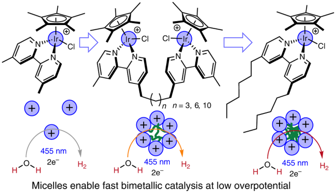 Catalyst self-assembly accelerates bimetallic light-driven electrocatalytic H2 evolution in water