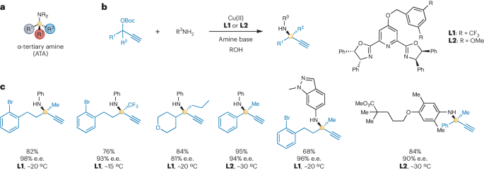 Copper catalysed asymmetric amination
