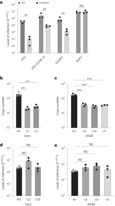 Crimean–Congo haemorrhagic fever virus uses LDLR to bind and enter host cells