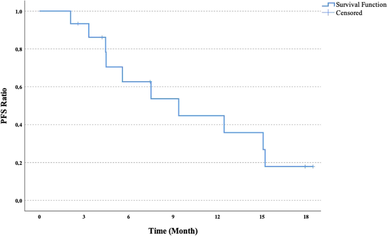 Rechallenge of Trastuzumab-based Therapy in HER2-Positive Breast Cancer Patients who Progressed Under TDM-1
