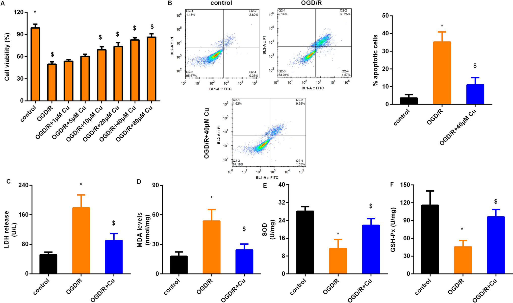 Administration with curcumin alleviates spinal cord ischemia-reperfusion injury by regulating anti-oxidative stress and microglia activation-mediated neuroinflammation via Nrf2/NF-κB axis