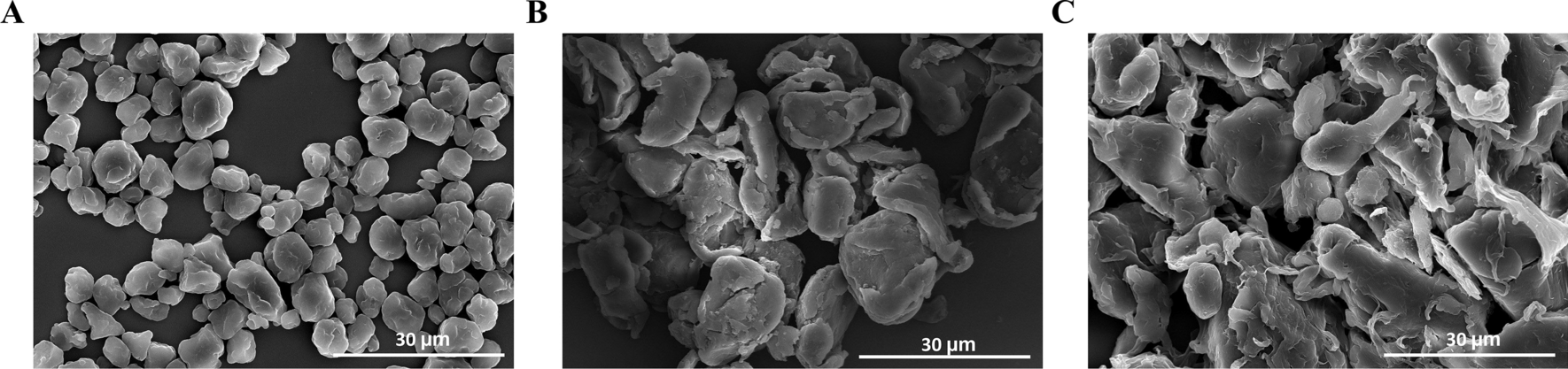 Pulmonary toxicity assessment of polypropylene, polystyrene, and polyethylene microplastic fragments in mice