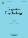 What’s in a sample? Epistemic uncertainty and metacognitive awareness in risk taking