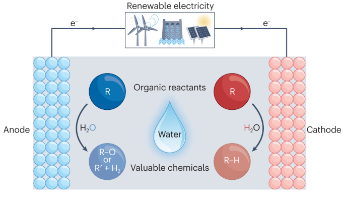 Electrochemical hydrogenation and oxidation of organic species involving water
