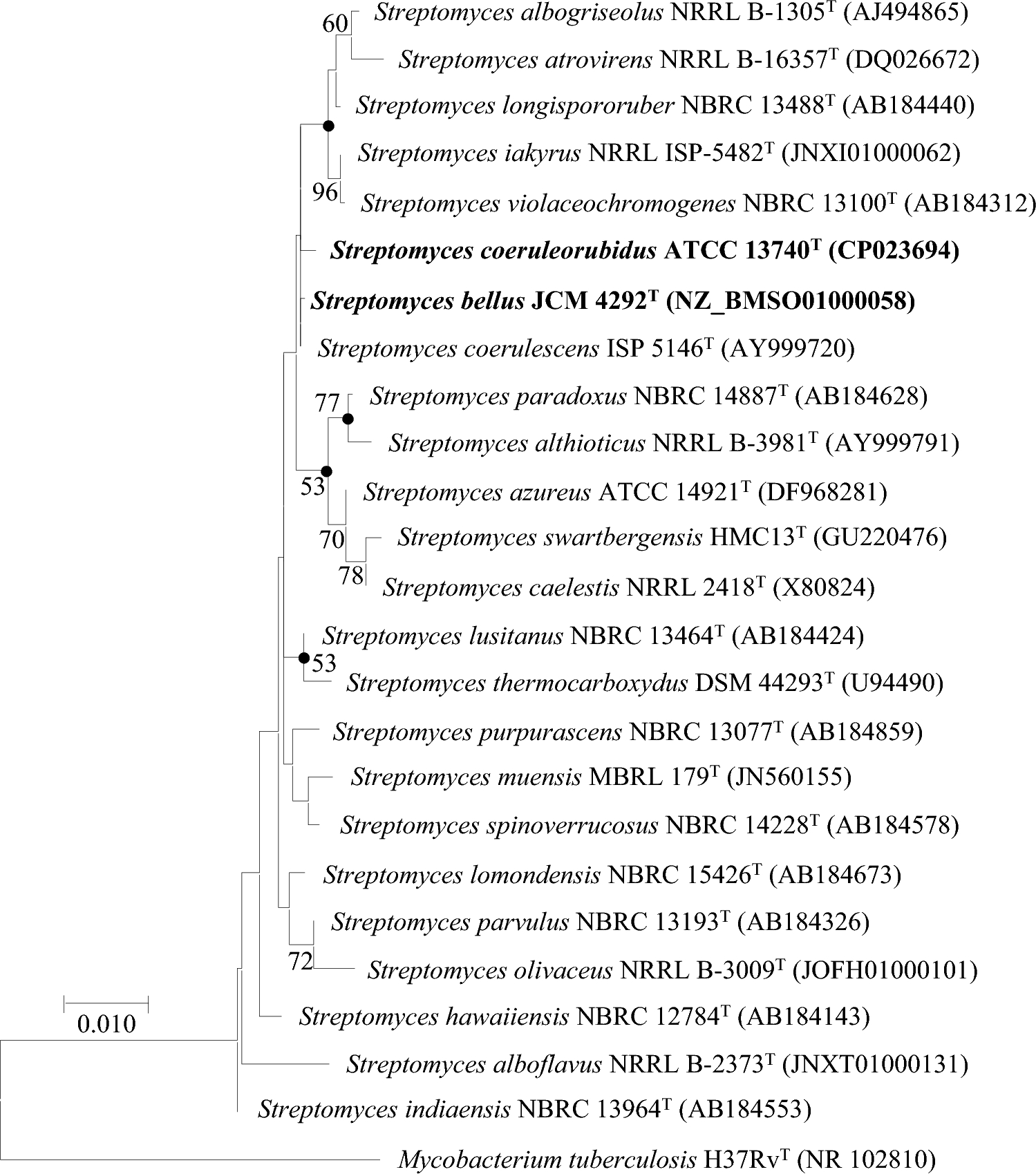 Proposal of Streptomyces bellus Margalith and Beretta 1960 as a Later Heterotypic Synonym of Streptomyces coeruleorubidus (Preobrazhenskaya 1957) Pridham et al. 1958 and an Emended Description of Streptomyces coeruleorubidus