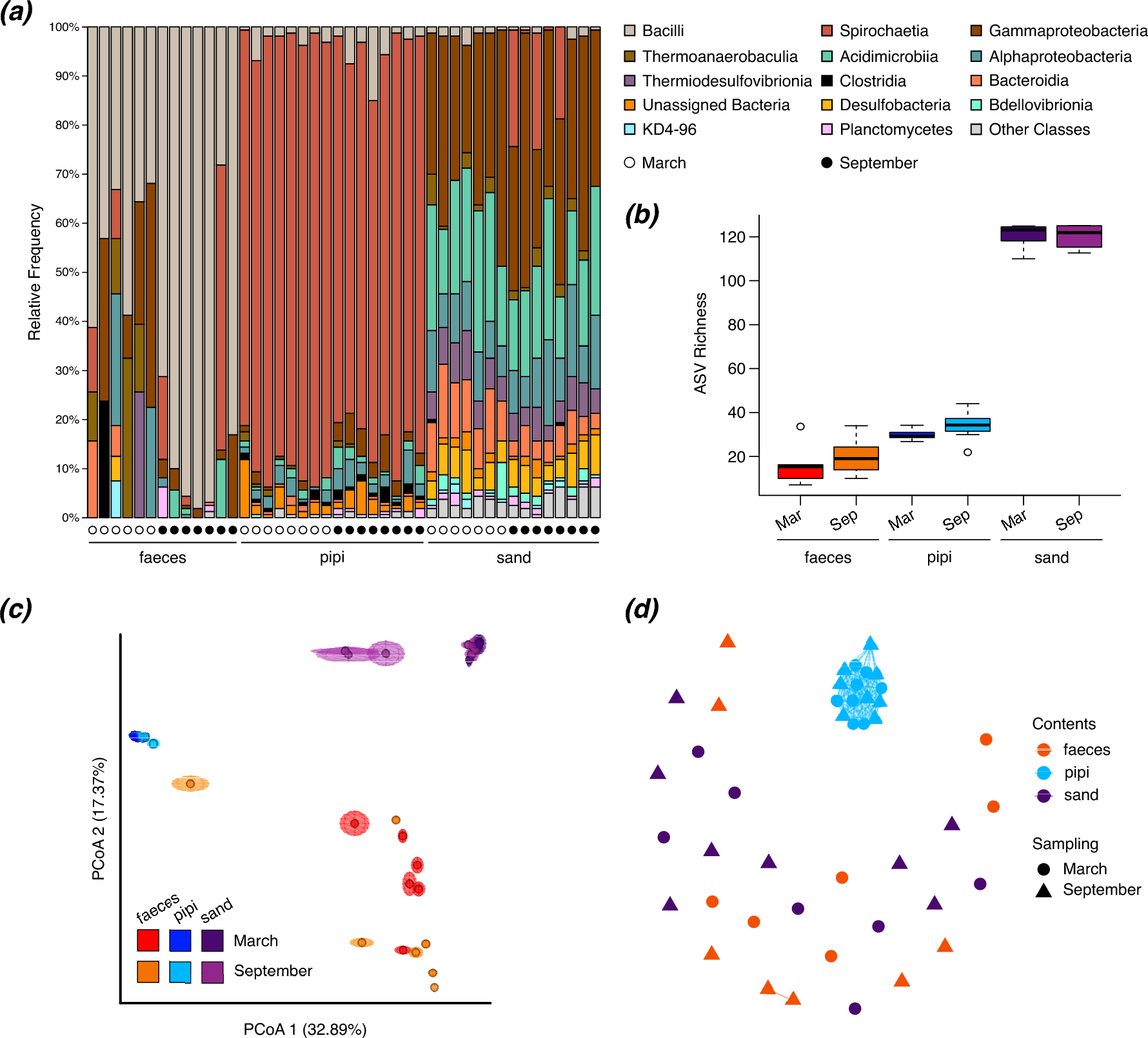 Migratory Shorebird Gut Microbes are not Associated with Bivalve Prey in Monsoon Tropical Australia