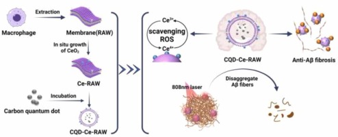In-situ growth of CeO2 on biofilms: Innovative nanoparticles for photothermal therapy & multi-pronged attack on Alzheimer’s disease