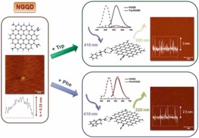 Hybrid nanostructures of nitrogen-doped carbon dots and aromatic amino acids: Synthesis, interactions at interfaces and optical properties