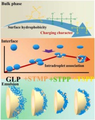 Phosphate type dependent phosphorylation on the interfacial and emulsion stabilizing behaviors of goose liver protein: Perspective of protein charging