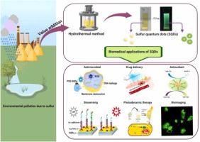 Sulfur quantum dots as sustainable materials for biomedical applications: Current trends and future perspectives