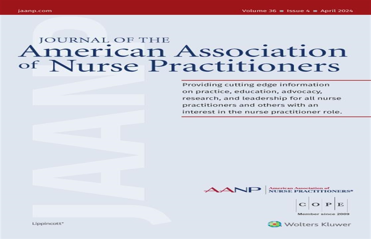 US nurse practitioner voluntary turnover: Development of a framework for analysis
