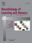 tDCS of right-hemispheric Wernicke’s area homologue affects contextual learning of novel lexicon