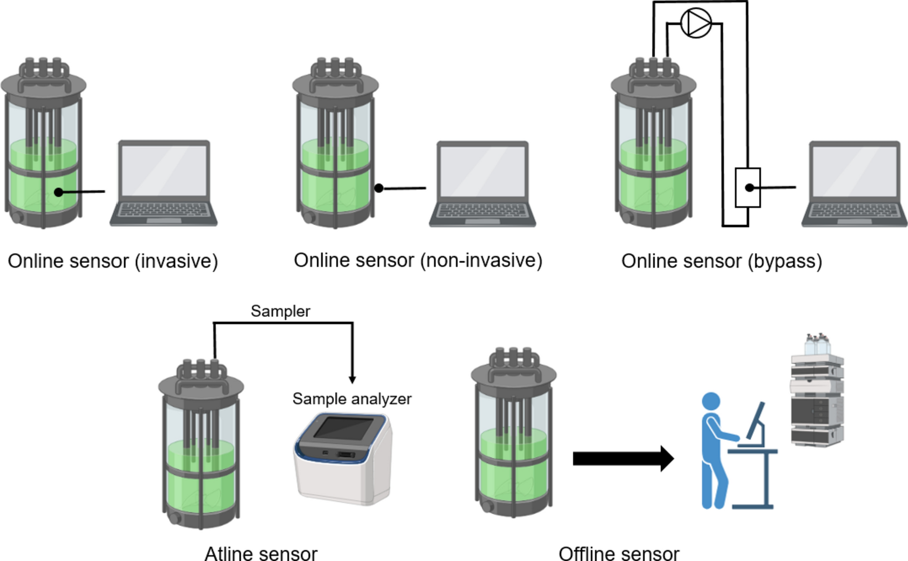 Software sensors in the monitoring of microalgae cultivations