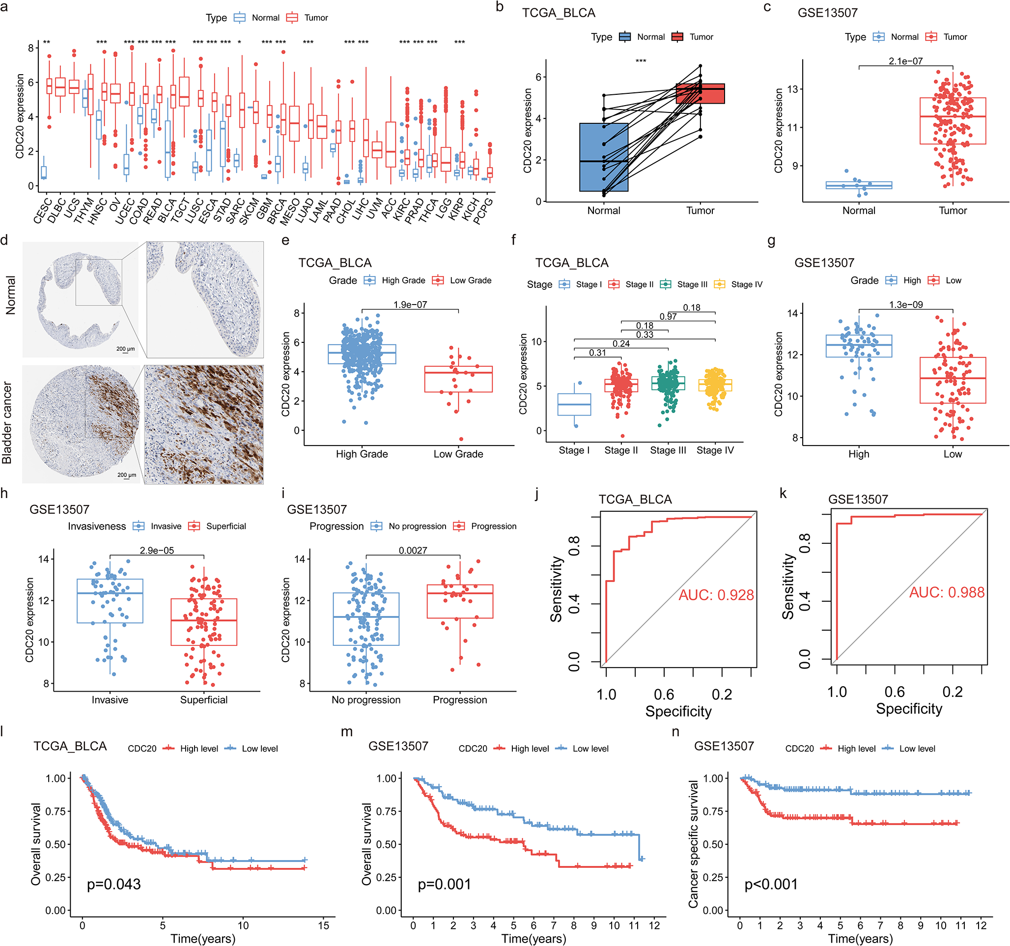 Bioinformatics analysis and experimental validation reveal that CDC20 overexpression promotes bladder cancer progression and potential underlying mechanisms