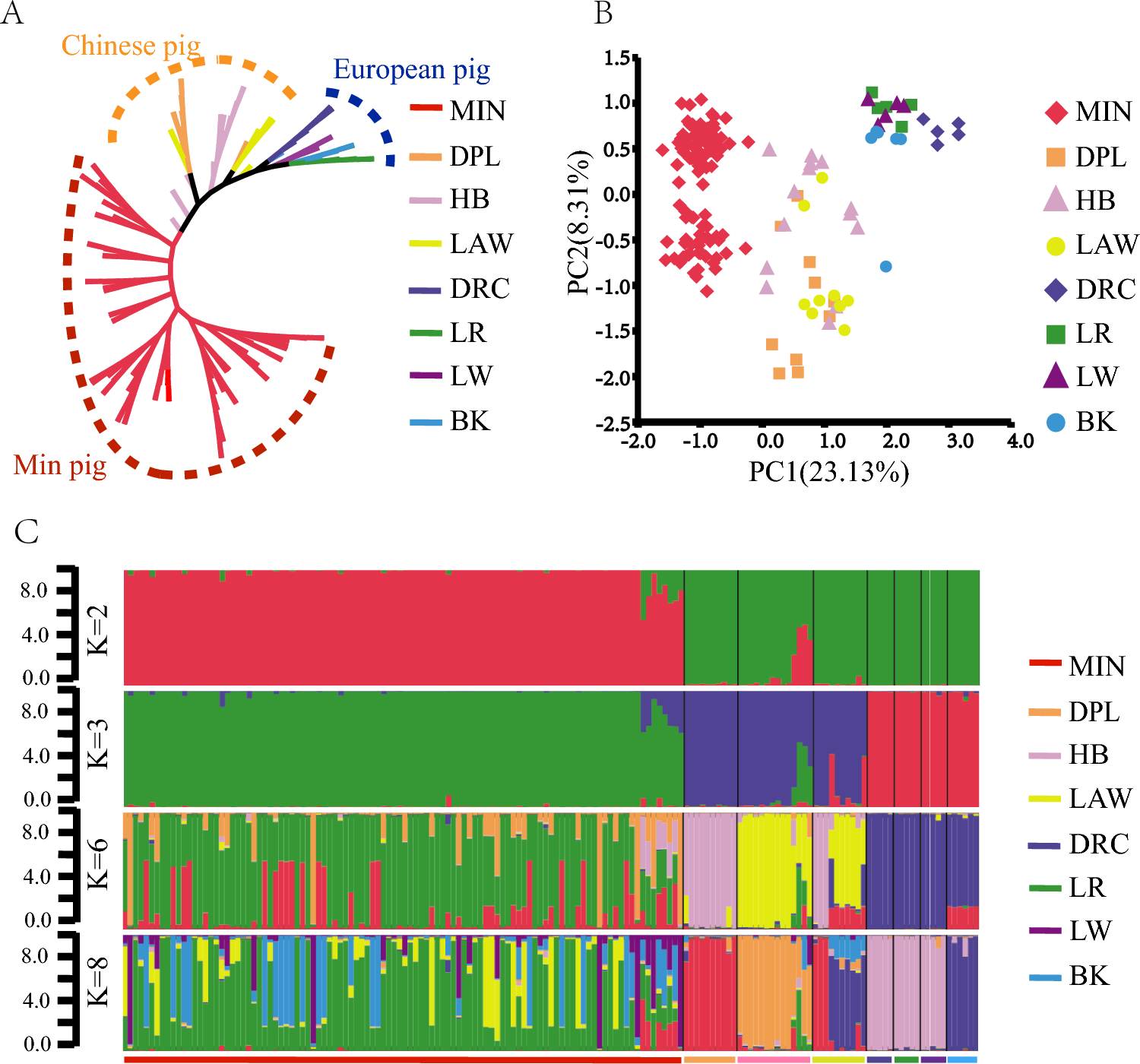 Population genetics reveals new introgression in the nucleus herd of min pigs