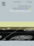 Intraoperative visualization of cranial nerve schwannomas using second-window indocyanine green: A case series