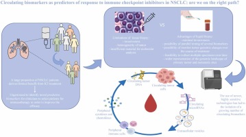 Circulating biomarkers as predictors of response to immune checkpoint inhibitors in NSCLC: Are we on the right path?