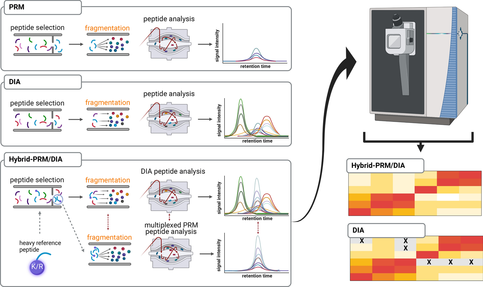 Simultaneous targeted and discovery-driven clinical proteotyping using hybrid-PRM/DIA