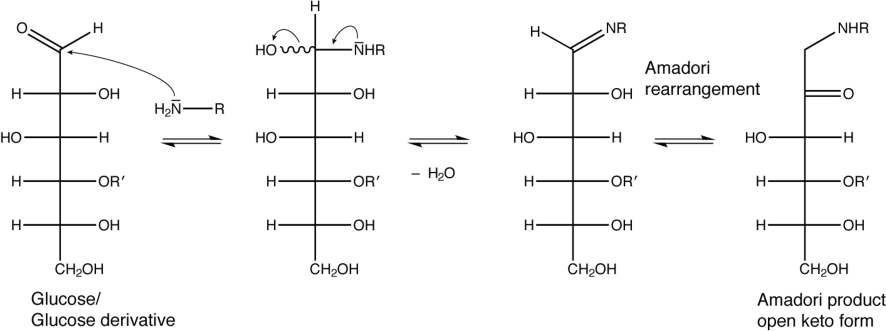 The NMR signature of maltose-based glycation in full-length proteins