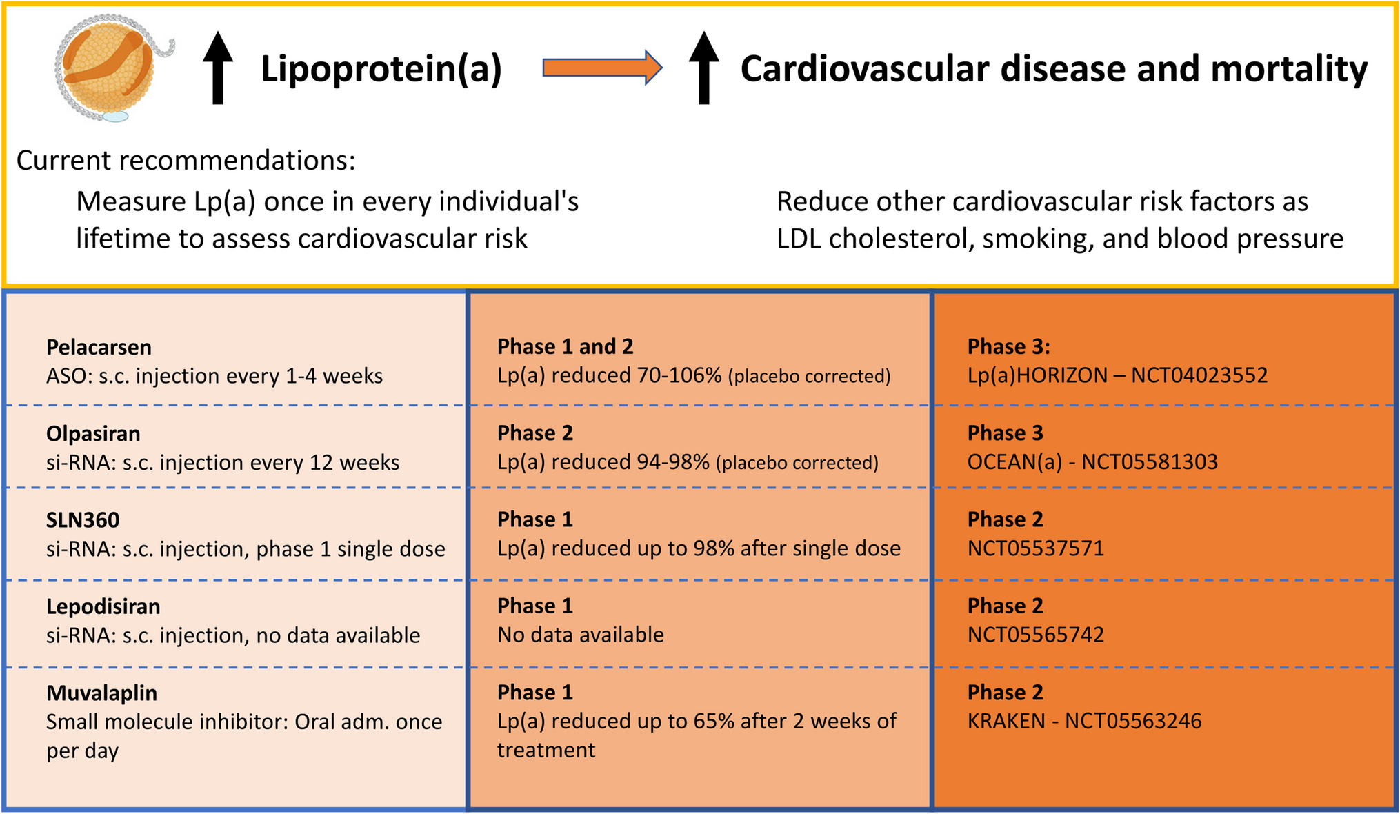 Novel Therapies for Lipoprotein(a): Update in Cardiovascular Risk Estimation and Treatment