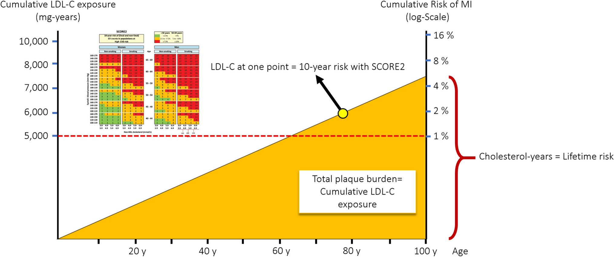 European Lipid Guidelines and Cardiovascular Risk Estimation: Current Status and Future Challenges