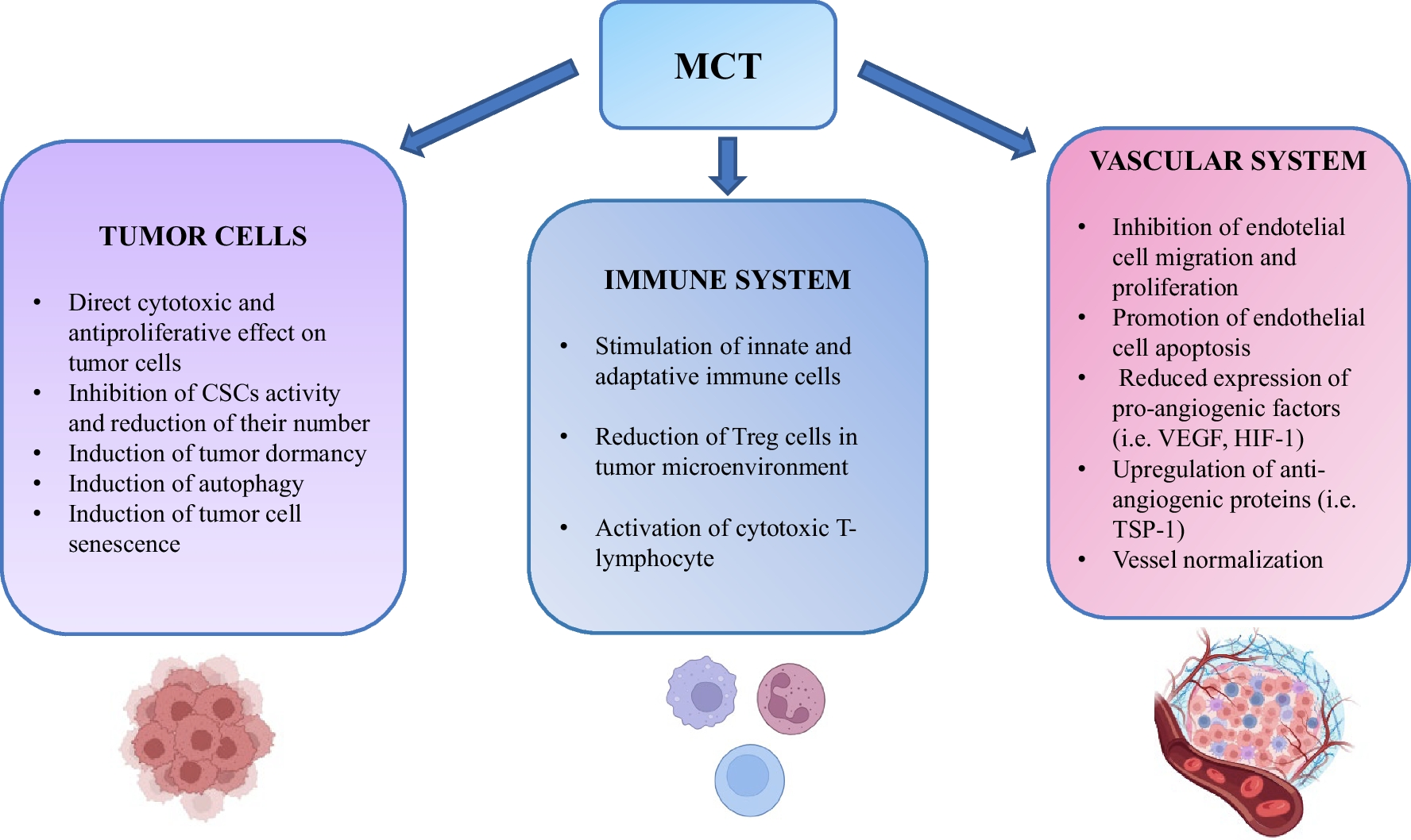 Metronomic Chemotherapy in Elderly Patients