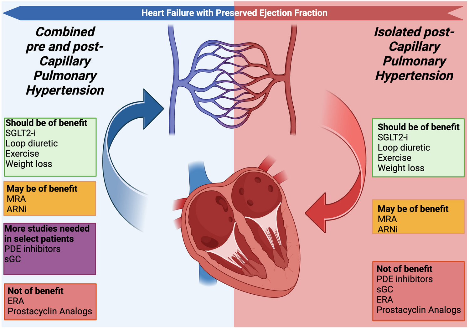 Management of Pulmonary Hypertension in the Context of Heart Failure with Preserved Ejection Fraction
