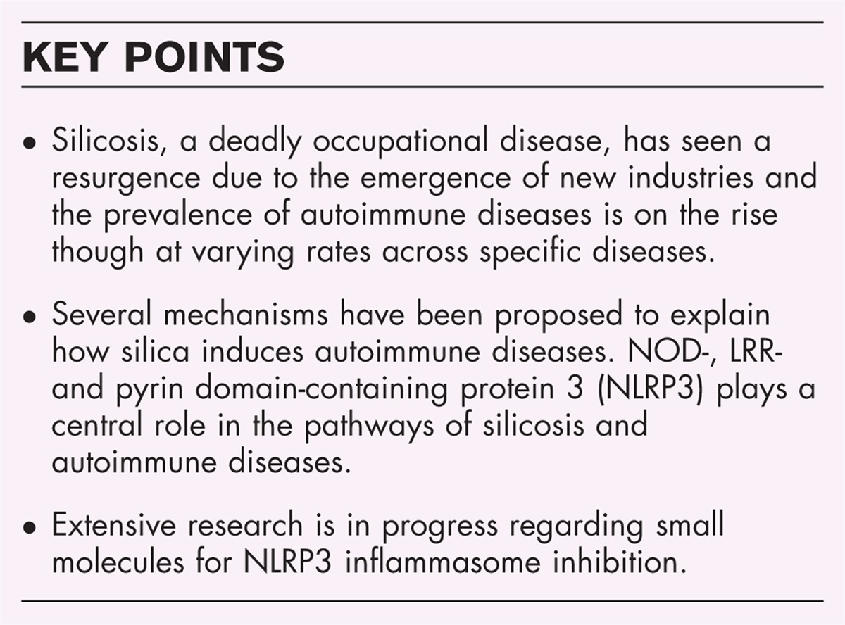 Association between silicosis and autoimmune disease