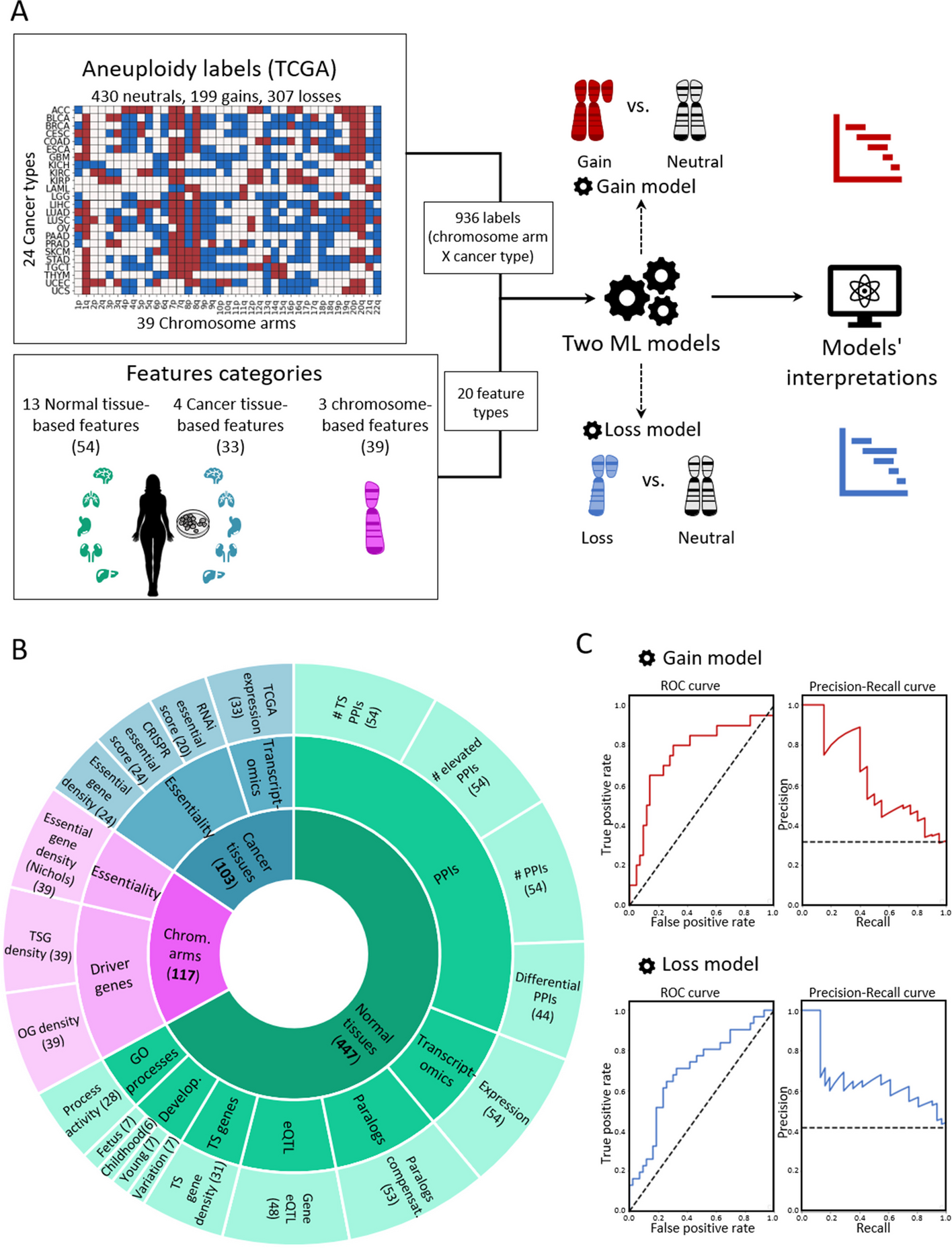 Machine-learning analysis reveals an important role for negative selection in shaping cancer aneuploidy landscapes