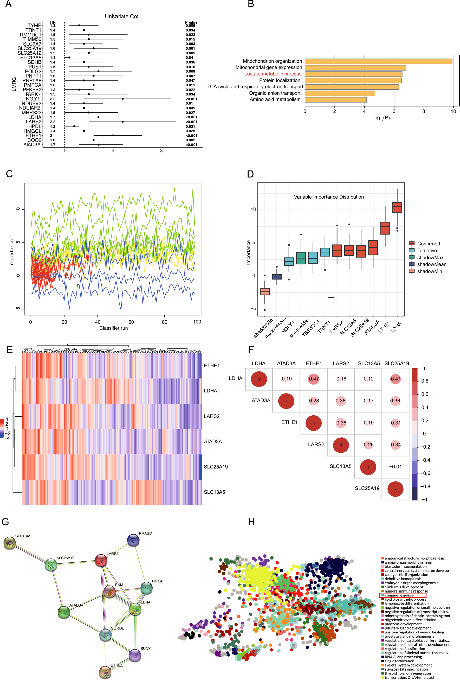 Identification and validation of a lactate metabolism-related six-gene prognostic signature in intrahepatic cholangiocarcinoma