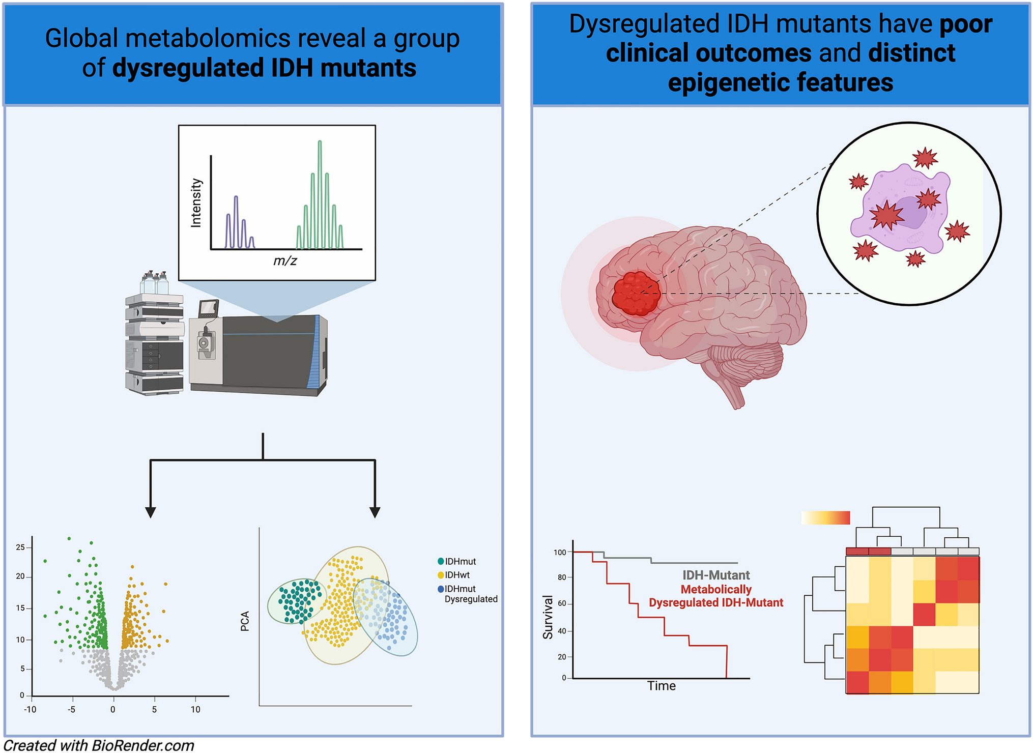 Metabologenomic characterization uncovers a clinically aggressive IDH mutant glioma subtype