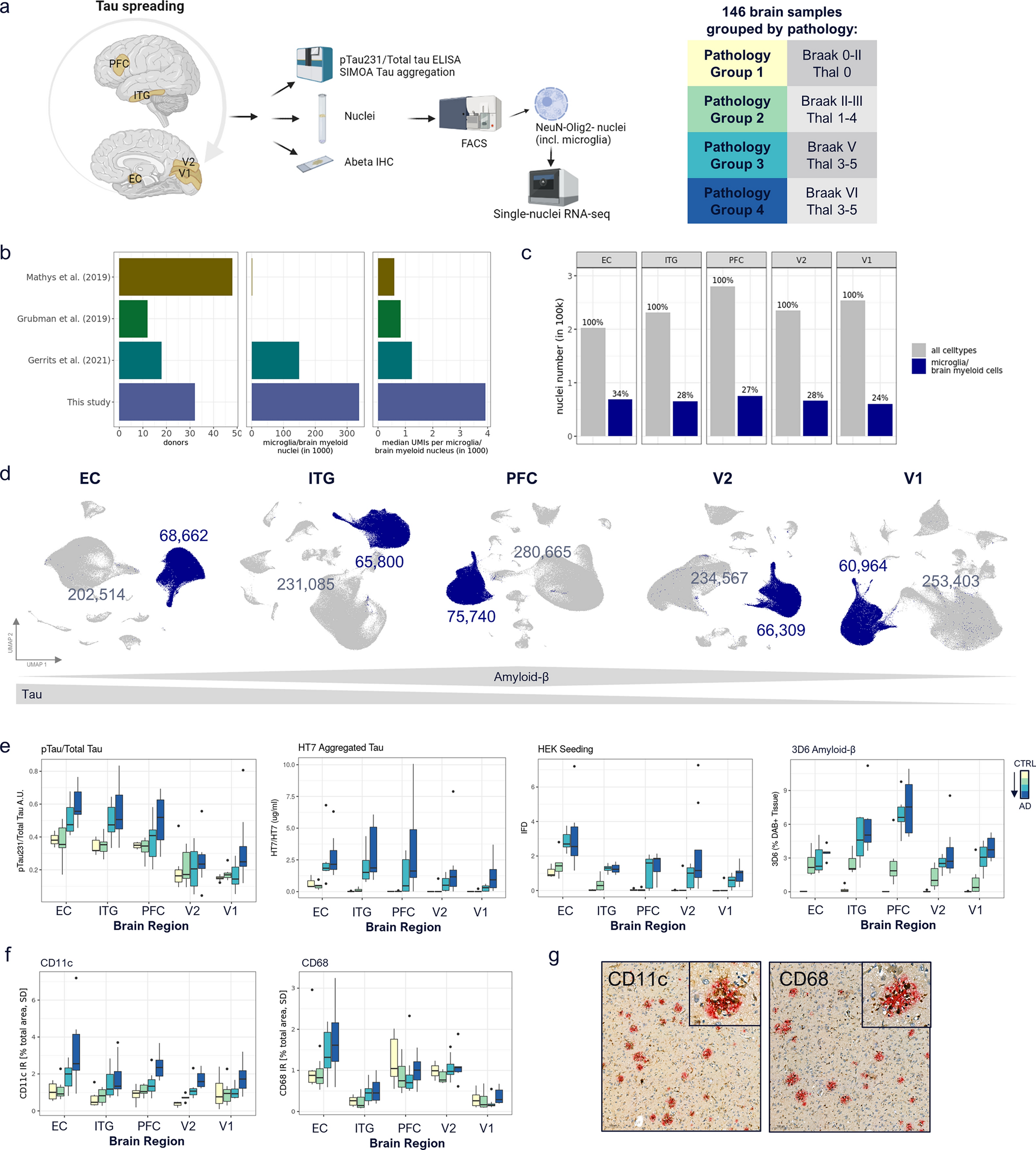 Landscape of brain myeloid cell transcriptome along the spatiotemporal progression of Alzheimer’s disease reveals distinct sequential responses to Aβ and tau