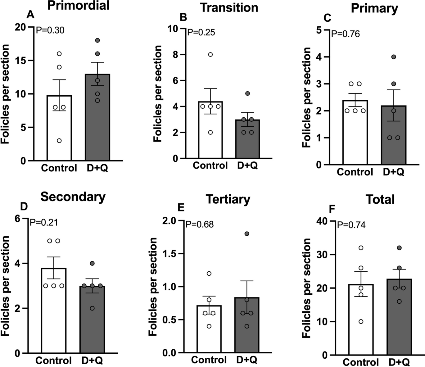 Senolytic treatment fails to improve ovarian reserve or fertility in female mice